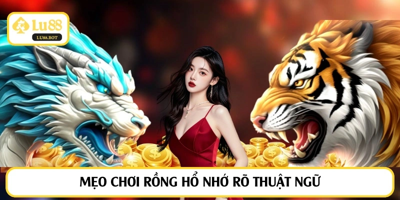 Mẹo chơi rồng hổ nhớ rõ thuật ngữ